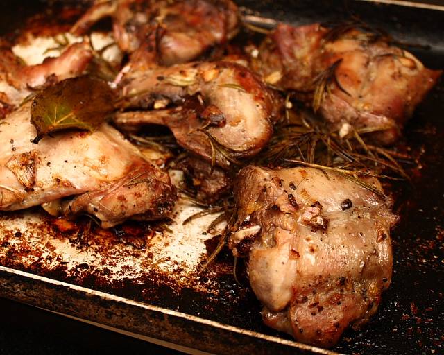 Is it OK to eat rabbit meat?