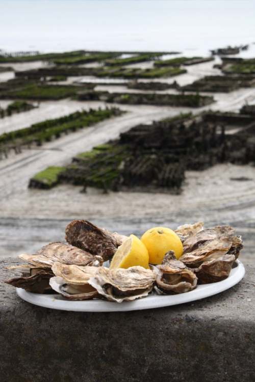 Cancale – France’s biggest oyster town